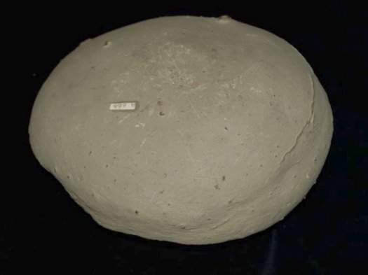 Westhay_nodule.jpg Westhay_nodule.jpg