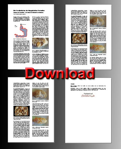 download_beininigen.jpg download_beininigen.jpg