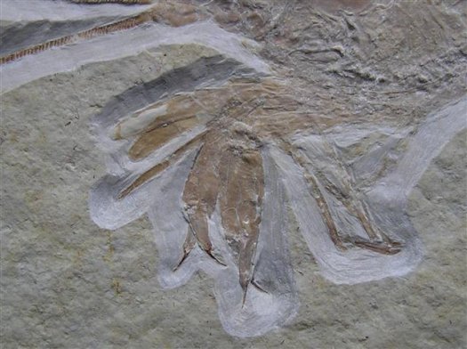 hefriga5.JPG hefriga5.JPG