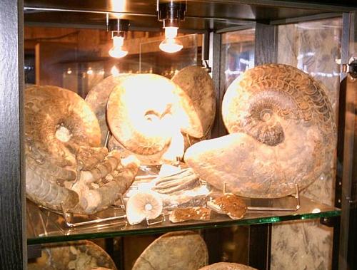 soenke_muschelkalk10.JPG soenke_muschelkalk10.JPG
