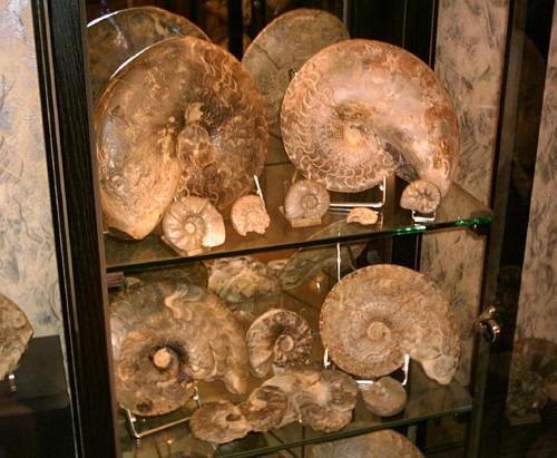 soenke_muschelkalk11.JPG soenke_muschelkalk11.JPG