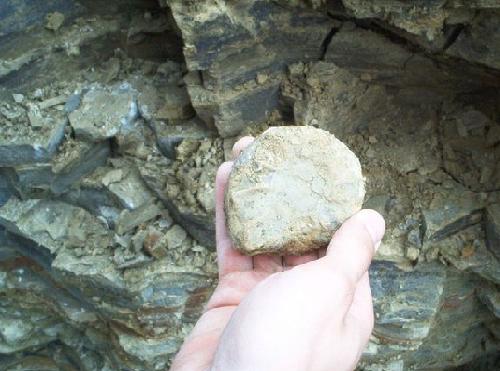 soenke_muschelkalk8.JPG soenke_muschelkalk8.JPG