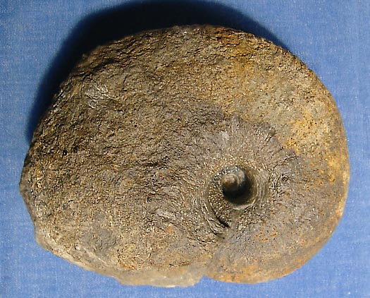 carixien-bericht10_1.jpg carixien-bericht10_1.jpg