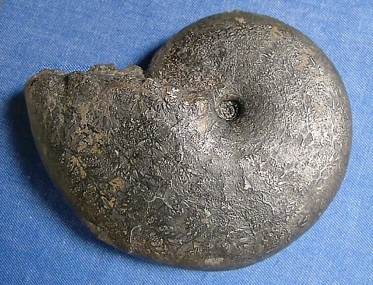 carixien_bericht11.jpg carixien_bericht11.jpg