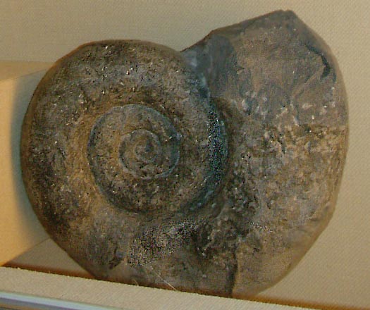 carixien_bericht3.jpg carixien_bericht3.jpg