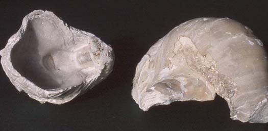 I_02.jpg I_02.jpg