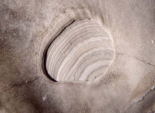 I_05.jpg I_05.jpg