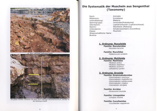 sengenthal3.jpg sengenthal3.jpg
