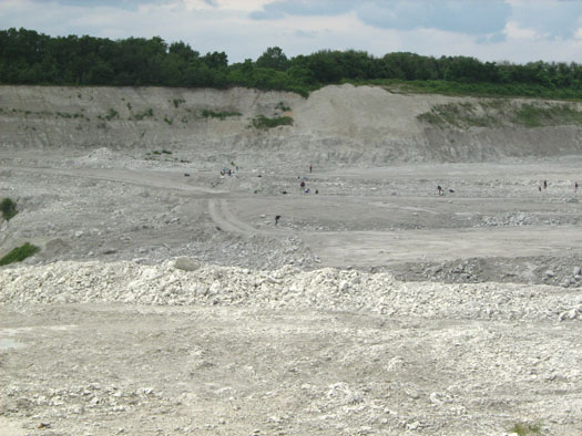 m17.jpg m17.jpg