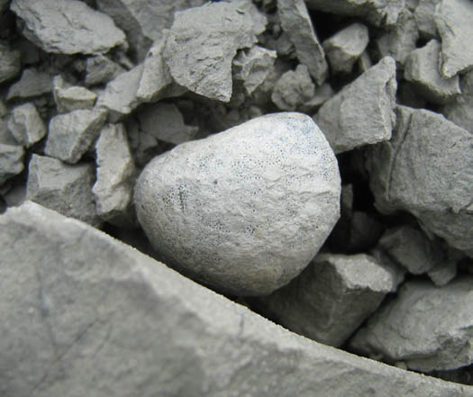 m6.jpg m6.jpg