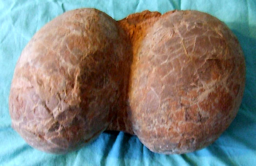 16.JPG 16.JPG