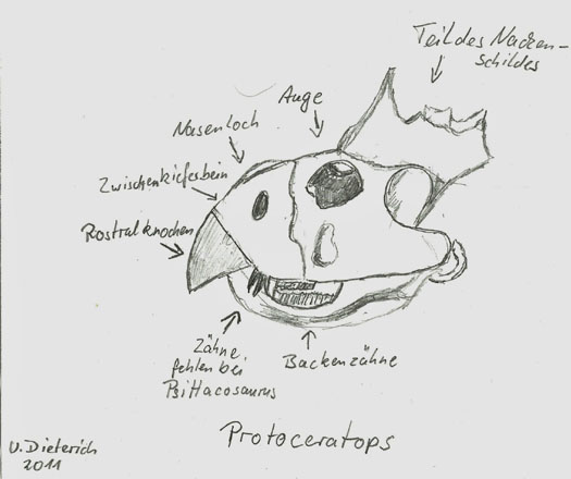 29.jpg 29.jpg