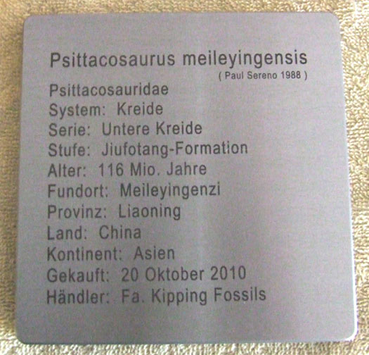 41.jpg 41.jpg