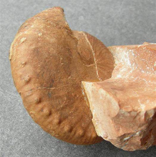 Abb8.JPG Abb8.JPG