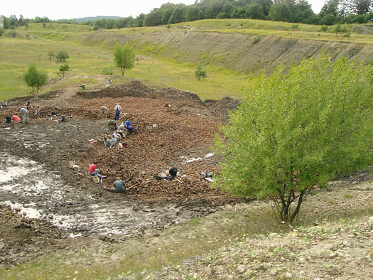 sengenthal1_1.jpg sengenthal1_1.jpg