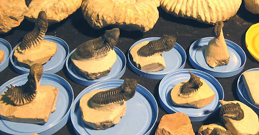 foto43_marokkanisches_angebot.jpg foto43_marokkanisches_angebot.jpg