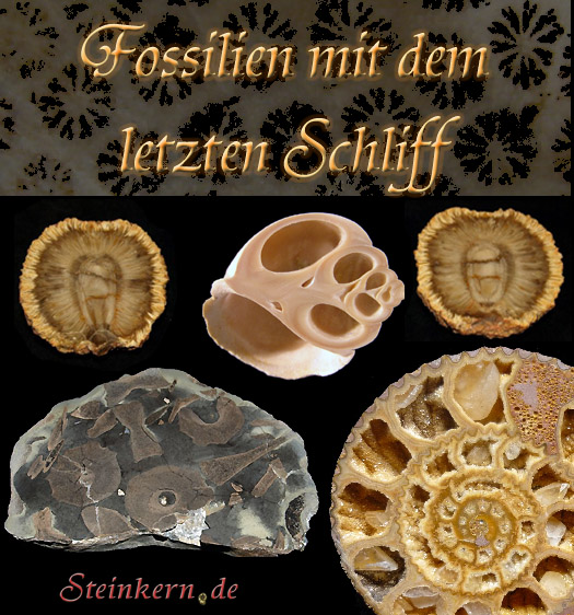 schliffpraeparate.jpg schliffpraeparate.jpg