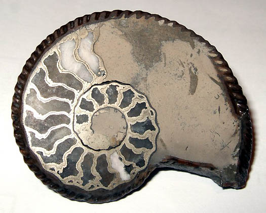 tomba_pyritamaltheus.jpg tomba_pyritamaltheus.jpg
