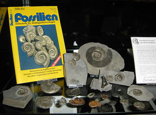 messe11_soenke_simonsen.jpg messe11_soenke_simonsen.jpg