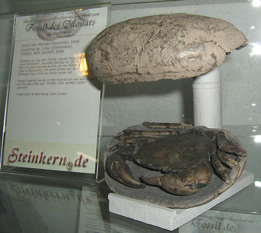 messe1_fdm2.jpg messe1_fdm2.jpg