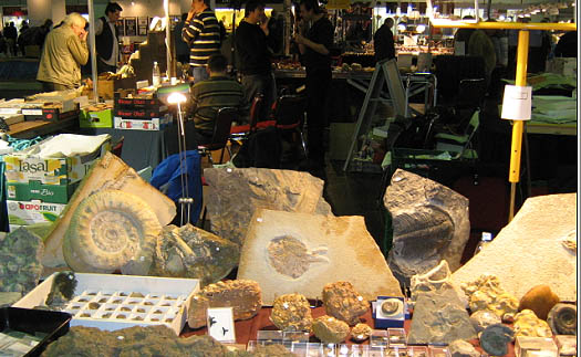 messe25_sonstiges_fossilangebot.jpg messe25_sonstiges_fossilangebot.jpg