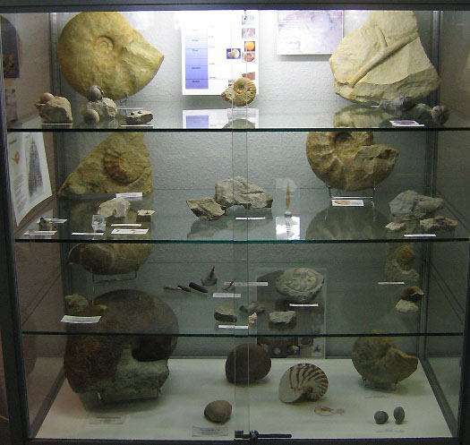messe3-karl-stekiel_1.jpg messe3-karl-stekiel_1.jpg