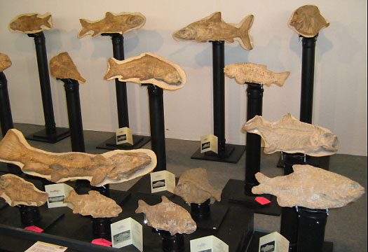 messe_fossilsworldwide.jpg messe_fossilsworldwide.jpg