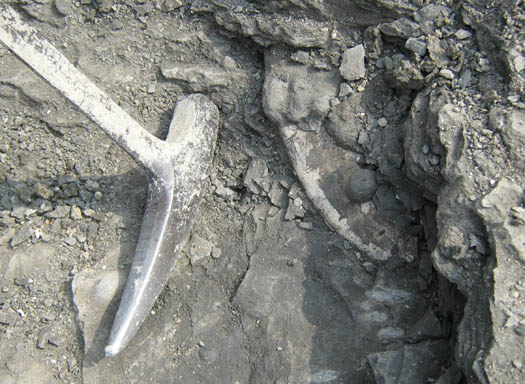 amaltheus1.jpg amaltheus1.jpg