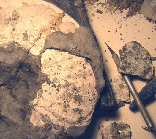 amaltheus11.jpg amaltheus11.jpg