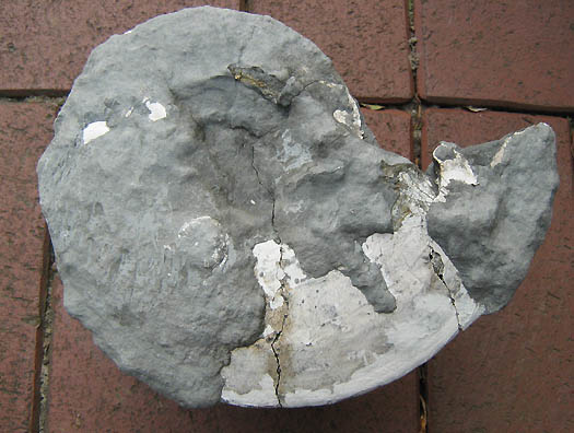 amaltheus9.jpg amaltheus9.jpg