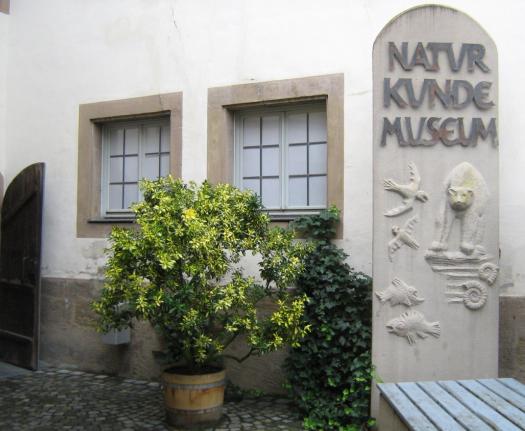 bamberg4.JPG bamberg4.JPG