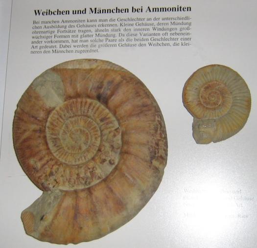 bamberg8.JPG bamberg8.JPG
