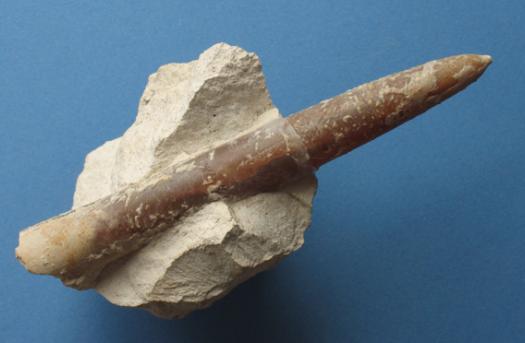 eiszeitmuseum2.JPG eiszeitmuseum2.JPG