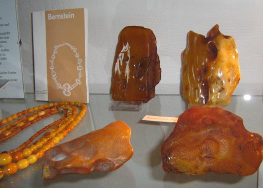 eiszeitmuseum4.JPG eiszeitmuseum4.JPG