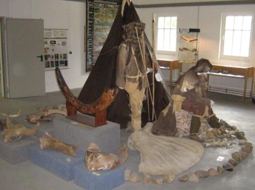 eiszeitmuseum7.JPG eiszeitmuseum7.JPG