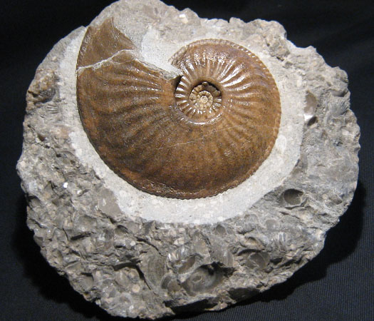isle_of_skye_1_amaltheus_125mm.jpg isle_of_skye_1_amaltheus_125mm.jpg