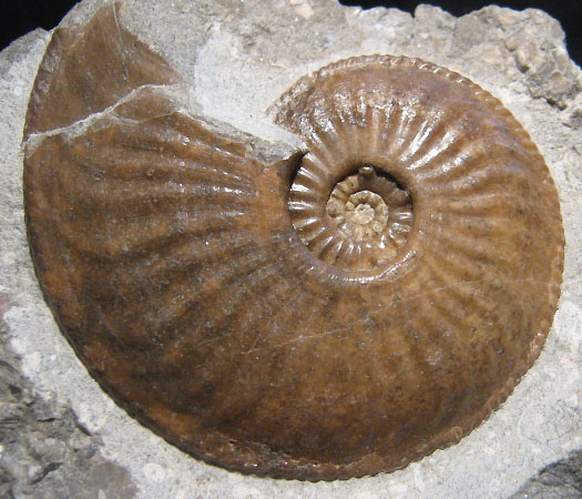 isle_of_skye_1_amaltheus_125mm_2.jpg isle_of_skye_1_amaltheus_125mm_2.jpg