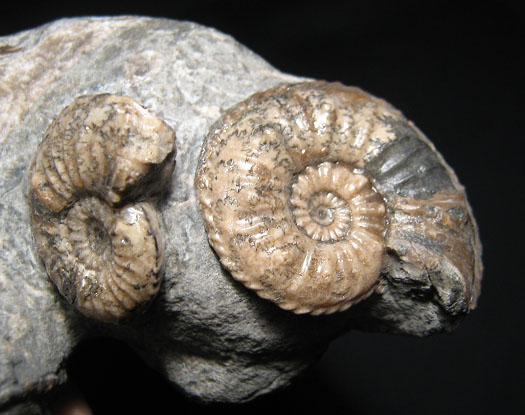 isle_of_skye_2_amaltheus.jpg isle_of_skye_2_amaltheus.jpg