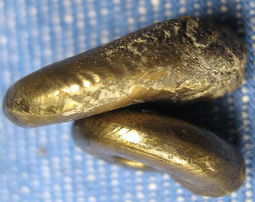 roquefort_soenke_amauroceras_ferrugineum2.jpg roquefort_soenke_amauroceras_ferrugineum2.jpg