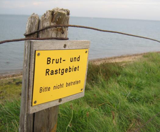 amrum7.JPG amrum7.JPG