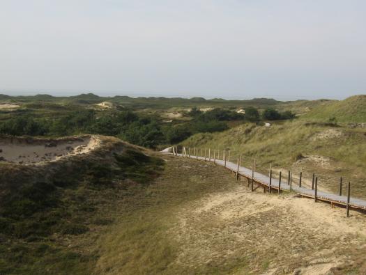 amrum9.JPG