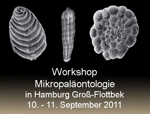 mikropalaeontologie.jpg mikropalaeontologie.jpg