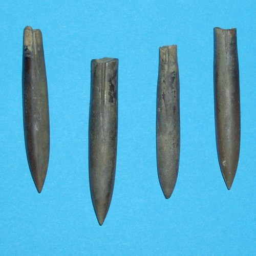 LaTuiliere___Neohibolites.jpg LaTuiliere___Neohibolites.jpg