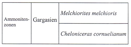 gargasien___ammonitenzonen.jpg gargasien___ammonitenzonen.jpg