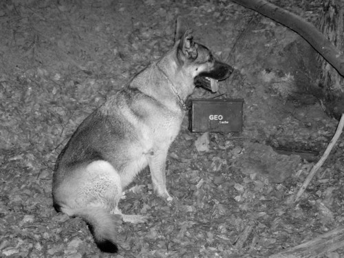 Cache_gefunden_500.jpg Cache_gefunden_500.jpg