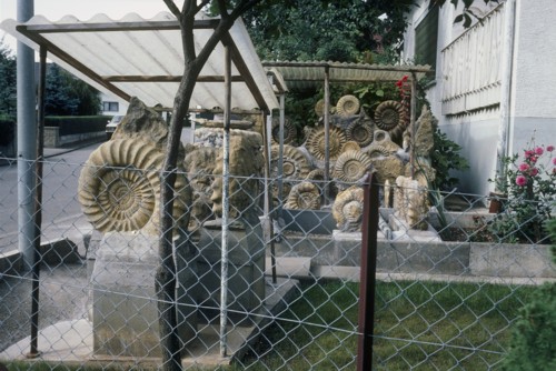 balingen_arietendenkmal_2___500.jpg balingen_arietendenkmal_2___500.jpg