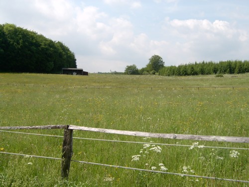 eifel3.jpg eifel3.jpg