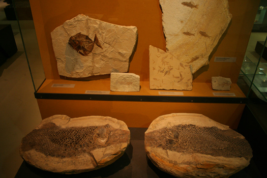 imgk2707b.jpg imgk2707b.jpg