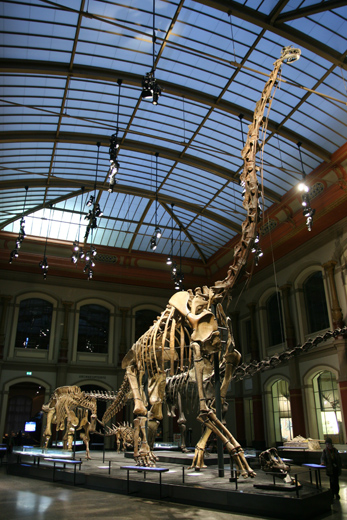 IMG_0329b.jpg IMG_0329b.jpg