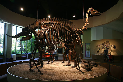IMG_5121e.jpg IMG_5121e.jpg
